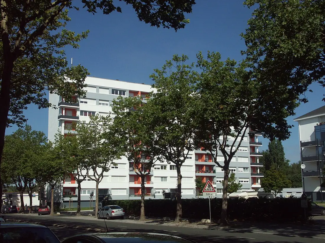 Immeuble HLM de grande hauteur à façade blanche, derrière une rangée d'arbres, boulevard Joseph-Bédier à Paris